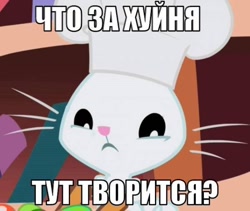 Size: 600x506 | Tagged: safe, angel bunny, rabbit, image macro, meme, russian, translated in the comments, vulgar