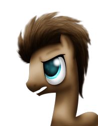 Size: 1000x1280 | Tagged: safe, artist:lupiarts, doctor whooves, earth pony, pony, brown coat, brown mane, male, solo, stallion