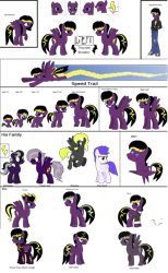 Size: 2000x3250 | Tagged: safe, artist:thunder-breaker, oc, oc only, oc:thunder breaker, crystal pony, pegasus, pony, pony creator, discorded, family, rainbow power, rainbow power-ified, reference sheet, why