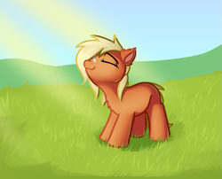 Size: 989x800 | Tagged: safe, artist:neuro, derpibooru import, verity, earth pony, pony, art pack:marenheit 451 post-pack, basking in the sun, crepuscular rays, cute, female, filly, grass, grass field, outdoors, smiling, solo