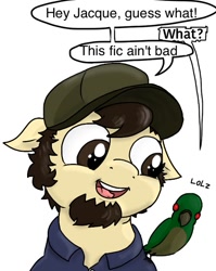 Size: 445x558 | Tagged: safe, artist:kill joy, parrot, crossover, exploitable meme, fanfic, hat, jontron, meme, ponified, solo