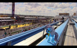 Size: 1280x800 | Tagged: safe, artist:fuzon-s, soarin', blind bag, florida, homestead-miami speedway, irl, miami, nascar, photo, ponies around the world, race track, toy, wonderbolts