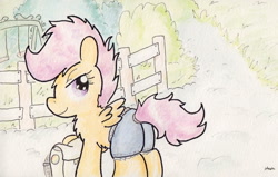 Size: 920x584 | Tagged: safe, artist:slightlyshade, scootaloo, pegasus, pony, clothes, filly, looking at you, looking back, saddle bag, school, shorts, solo, traditional art
