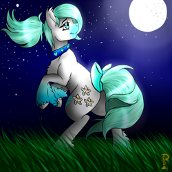 Size: 1000x1000 | Tagged: safe, artist:perfect pace, oc, oc only, earth pony, pony, commission, moon, night, tail bow