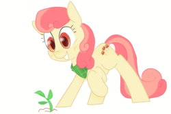 Size: 2205x1473 | Tagged: safe, artist:meowing-ghost, apple bumpkin, apple family member, apple tree, sappling, solo, tree