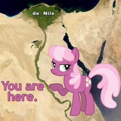 Size: 600x600 | Tagged: safe, artist:bananabu, cheerilee, africa, caption, denial, east africa, egypt, image macro, map, meme, nile, nile river, north africa, pointing, pun, purple text, reaction image, river, sahara desert, solo, unamused, visual pun