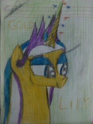 Size: 1944x2592 | Tagged: safe, artist:chevistian, princess gold lily, graph paper, photo, solo, traditional art