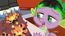 Size: 621x346 | Tagged: safe, edit, edited screencap, screencap, spike, dragon, princess spike (episode), brendan fraser, crying, dragonsneeze, just fuck my shit up, meme, open mouth