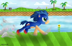 Size: 1100x700 | Tagged: safe, artist:oggynka, ponified, solo, sonic the hedgehog, sonic the hedgehog (series)