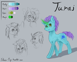 Size: 1280x1024 | Tagged: safe, artist:silver-tip, oc, oc only, oc:turai, pony, unicorn, 2014, facial expressions, magic, poison joke, pose, reference sheet, solo