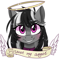 Size: 1500x1500 | Tagged: safe, artist:silbersternenlicht, oc, oc only, oc:domino eventide, cute, halo, looking at you, old banner, simple background, solo, transparent background