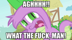 Size: 892x500 | Tagged: safe, screencap, spike, dragon, image macro, meme, reaction image, vulgar