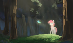 Size: 1280x751 | Tagged: safe, artist:siagia, oc, oc only, butterfly, earth pony, pony, fascinated, forest, glow, looking at something, solo, wood