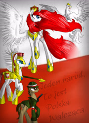 Size: 3465x4815 | Tagged: safe, artist:alicjaspring, oc, oc only, oc:queen poland, alicorn, eagle, pony, alicorn oc, guard, nation ponies, patriotic, poland, polish, ponies, remember, soldier, soldiers, translated in the comments