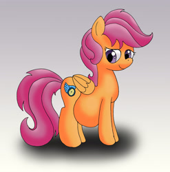 Size: 2474x2504 | Tagged: safe, artist:seenty, scootaloo, momma scoots, older, pregnant, pregnant scootaloo, solo