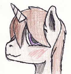 Size: 1084x1136 | Tagged: safe, artist:strange_mark, oc, oc only, oc:majik, pony, unicorn, male, solo, traditional art