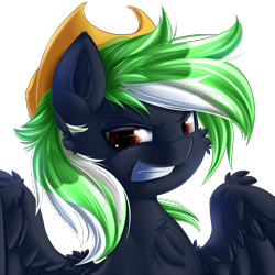 Size: 2000x2000 | Tagged: safe, artist:knifeh, oc, oc only, oc:moonlit ace, pony, bust, male, portrait, solo, stallion