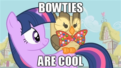 Size: 400x225 | Tagged: safe, owlowiscious, bowtie, bowties are cool, caption, doctor who, image macro, meme, text