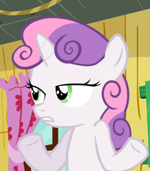 Size: 632x720 | Tagged: safe, screencap, sweetie belle, pony, unicorn, sleepless in ponyville, cropped, curtains, female, filly, frown, gritted teeth, lidded eyes, shrug, so what sweetie, solo, underhoof, window
