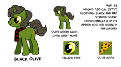 Size: 2700x1500 | Tagged: safe, artist:flyingbrickanimation, oc, oc only, oc:black olive, pony, unicorn, clothes, cutie mark, female, mare, pizza, reference sheet, scarf, smiling