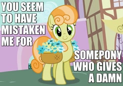 Size: 825x575 | Tagged: safe, edit, edited screencap, screencap, junebug, secret of my excess, amused, basket, caption, flower, image macro, reaction image, smiling, solo