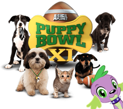 Size: 607x537 | Tagged: safe, spike, dog, equestria girls, dachshund, obligatory pony, puppy bowl