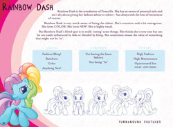 Size: 1240x912 | Tagged: safe, artist:dominique shiels, rainbow dash (g3), pony, g3.5, female, mare, reference sheet, solo, text