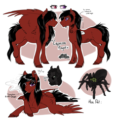 Size: 1024x1088 | Tagged: safe, artist:royvdhel-art, oc, oc only, oc:crimson angel, pegasus, pony, spider, blank flank, cigarette, earring, heterochromia, piercing, red and black oc, smoking, solo