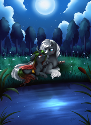 Size: 2550x3509 | Tagged: safe, artist:pridark, oc, oc only, changeling, pegasus, pony, blushing, duo, eye contact, forest, interspecies, moon, night, water