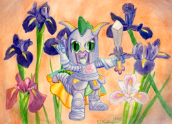 Size: 3446x2496 | Tagged: safe, artist:kelseyleah, spike, dragon, armor, flower, iris (flower), solo, sword, traditional art