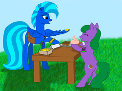 Size: 2048x1536 | Tagged: safe, artist:petunedrop, oc, oc only, oc:skylight, pegasus, pony, market, spring celebration, trade