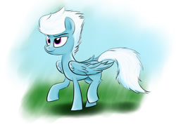 Size: 1024x768 | Tagged: safe, artist:dangercloseart, fleetfoot, pegasus, pony, female, mare, solo, wings