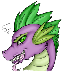 Size: 800x903 | Tagged: safe, artist:bumblebeesandroses, spike, dragon, bust, portrait, simple background, solo, tongue out, transparent background