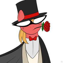 Size: 800x800 | Tagged: artist needed, safe, big macintosh, earth pony, pony, clothes, flower, hat, male, rose, sailor moon, solo, stallion, tuxedo mask