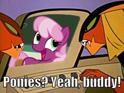 Size: 400x301 | Tagged: safe, cheerilee, awesome face, brak, brony, hanna barbera, image macro, meme, sisto, space ghost, space ghost coast to coast, the brak show, time for ponies