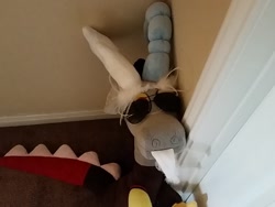 Size: 1440x1080 | Tagged: artist needed, safe, discord, friday, glasses, irl, photo, plushie, real