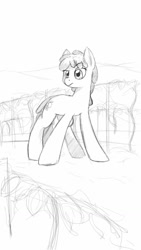 Size: 720x1280 | Tagged: safe, artist:trickydick, berry punch, berryshine, monochrome, sketch, solo, vineyard