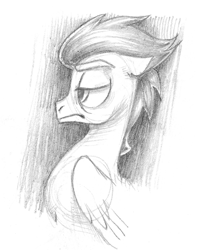 Size: 842x1064 | Tagged: safe, artist:erudier, soarin', pegasus, pony, doodle, sketch