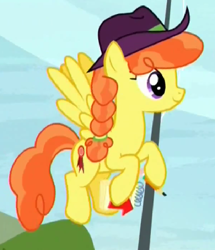 Size: 322x374 | Tagged: safe, screencap, pegasus, pony, appleoosa's most wanted, cowboy hat, cropped, female, flying, hat, mare, record high, solo