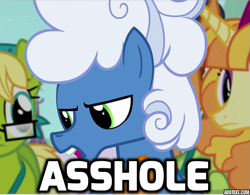 Size: 561x438 | Tagged: safe, edit, edited screencap, screencap, bittersweet (character), fluffy clouds, tropical dream, pony, princess spike (episode), cropped, image macro, male, meme, solo focus, stallion, vulgar