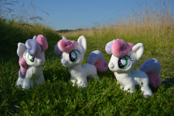 Size: 1280x853 | Tagged: safe, artist:burgunzik, sweetie belle, irl, photo, plushie, solo