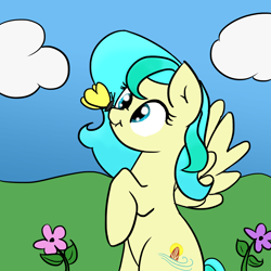 Size: 2000x2000 | Tagged: safe, artist:katiespalace, oc, oc only, butterfly, pegasus, pony, art trade, solo