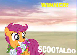 Size: 550x399 | Tagged: safe, scootaloo, solo, super smash bros., super smash bros. 4, victory, victory screen