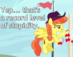 Size: 700x550 | Tagged: safe, edit, edited screencap, screencap, pegasus, pony, appleoosa's most wanted, arrow, braid, caption, cowboy hat, cropped, female, flag, flag pole, flying, hair tie, hat, image macro, mare, measuring, narrowed eyes, notebook, pencil, reaction image, record high, solo, squint, tongue out