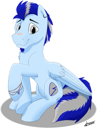 Size: 743x976 | Tagged: safe, artist:crusierpl, oc, oc only, oc:rude song, pegasus, pony, chest fluff, goatee, male, piercing, sitting, solo, stallion