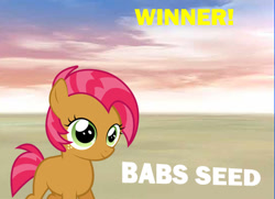 Size: 550x399 | Tagged: safe, babs seed, solo, super smash bros., super smash bros. 4, victory, victory screen