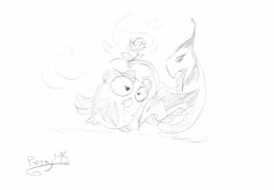 Size: 6965x4843 | Tagged: safe, artist:perrydotto, owlowiscious, philomena, 2015, absurd resolution, commission, dancing, duo, female, fire, galacon 2015, interspecies, male, monochrome, pets, philowiscious, rose, shipping, signature, simple background, sketch, straight, tango, traditional art, white background