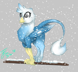 Size: 1677x1553 | Tagged: safe, artist:farewelldecency, oc, oc only, oc:winter breeze, griffon, griffonized, solo, species swap