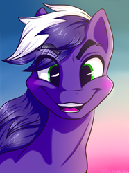 Size: 1142x1537 | Tagged: safe, artist:sigmanas, oc, oc only, oc:proudy hooves, bust, happy, portrait, smiling, solo, sunset, щщоки