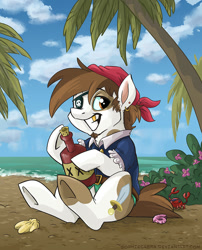 Size: 807x1000 | Tagged: safe, artist:spainfischer, pipsqueak, crab, bandana, bottle, cloud, cloudy, dagger, ear piercing, flower, gold tooth, island, ocean, older, palm tree, patch, piercing, pirate, sand, seashell, signature, sitting, sky, solo, tree, wave